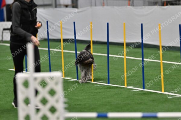 Alison-Carr-Polo-03838