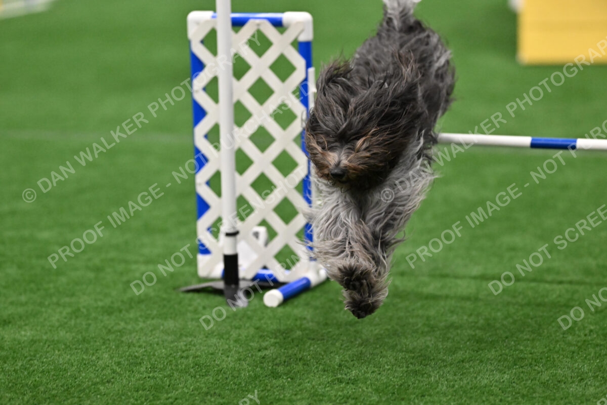Alison-Carr-Polo-07754