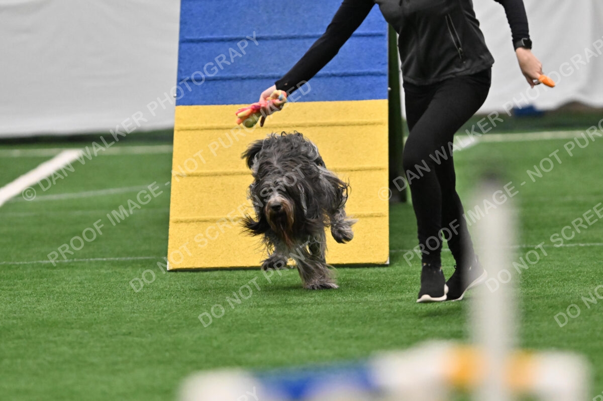 Alison-Carr-Polo-07777