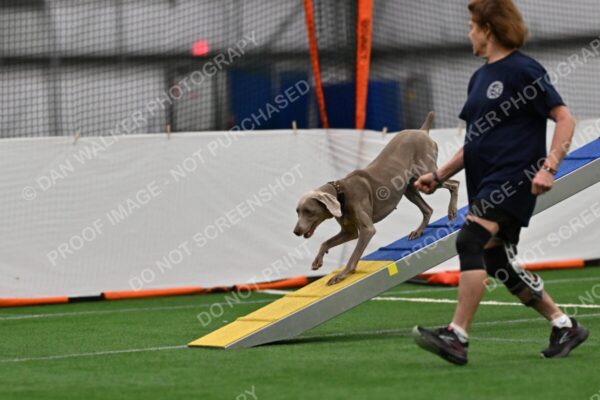 Beth-Ann-Laidman-Kona-11833