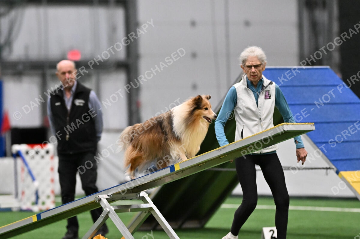 Carol-Currier-Derek-12285