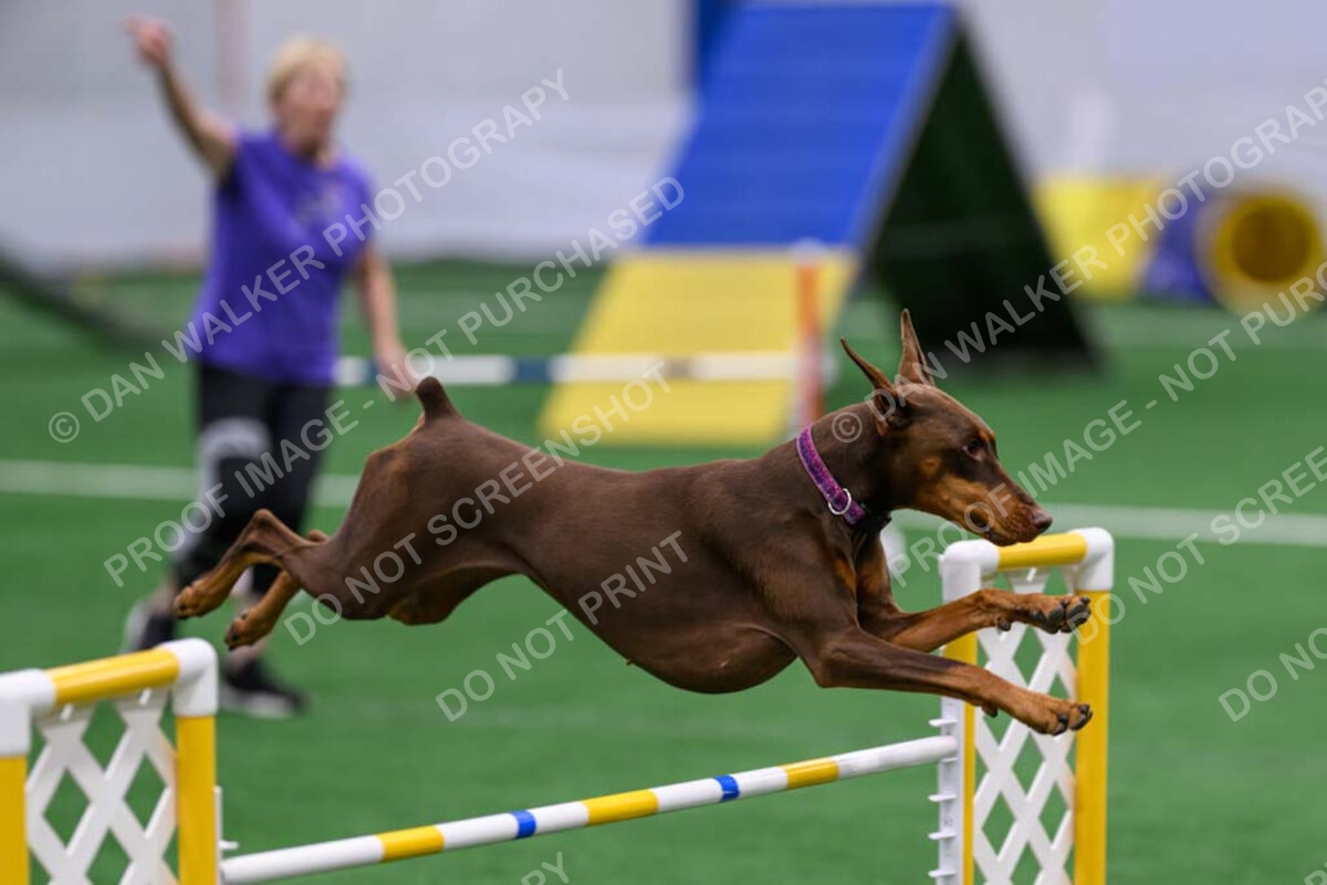 Carol-Moore-Derby-03564-Enhanced-NR