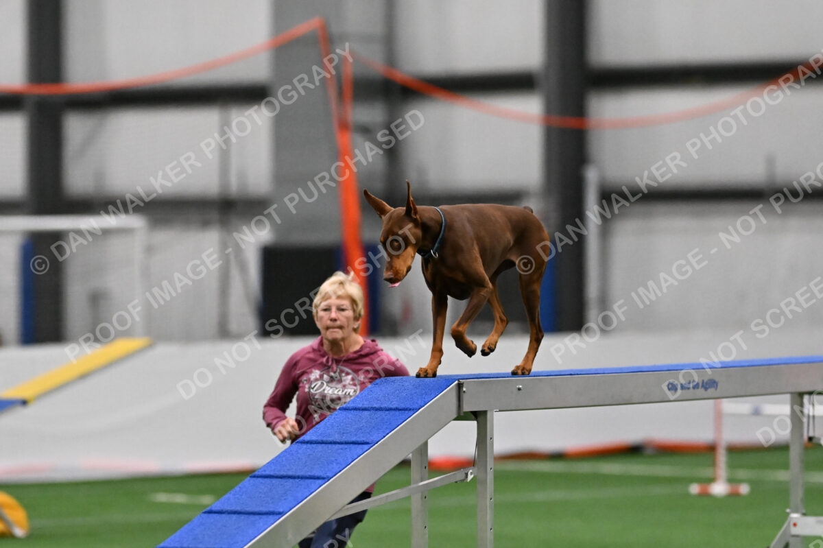 Carol-Moore-Derby-07343