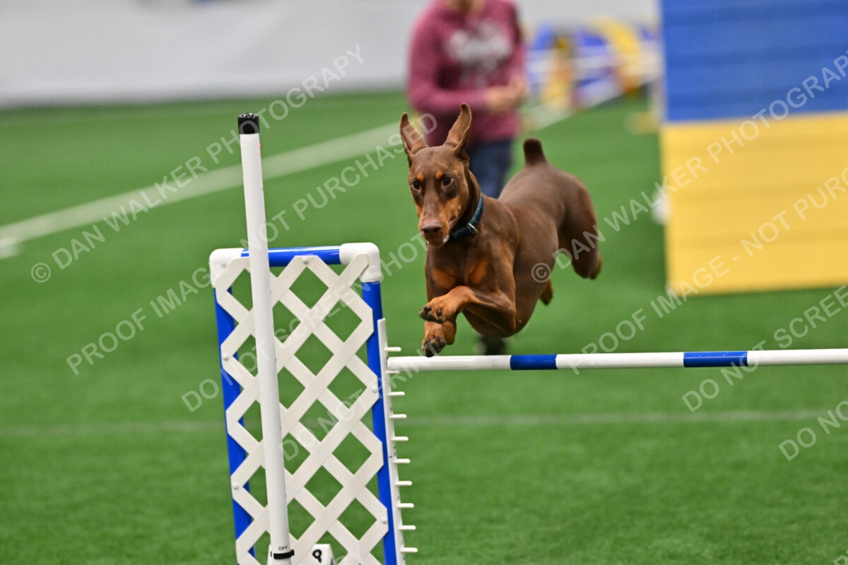 Carol-Moore-Derby-07384