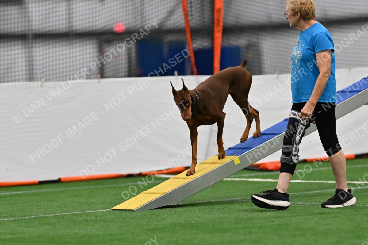 Carol-Moore-Derby-13138