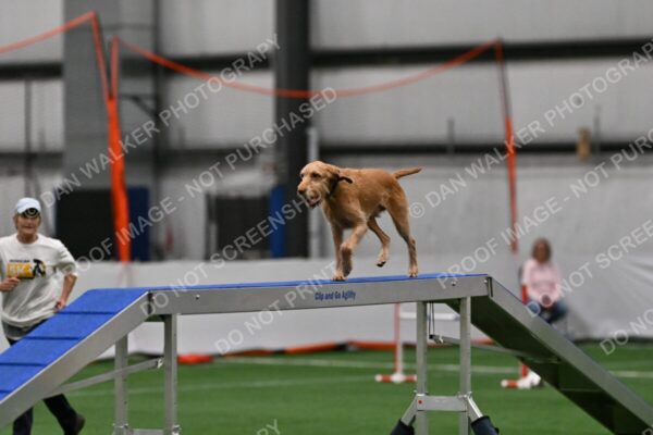 Caryn-Mills-Quincy-07318