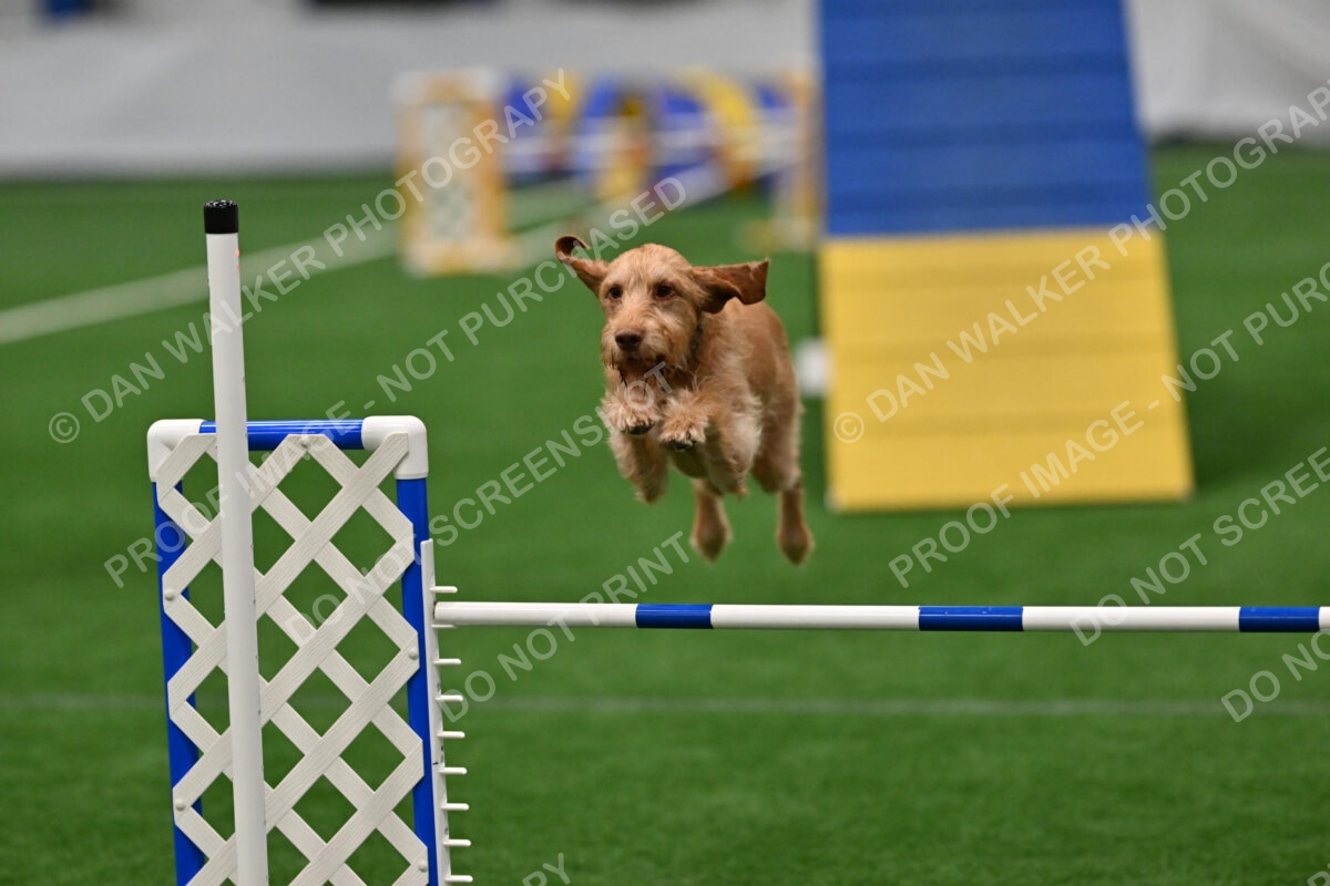 Caryn-Mills-Quincy-07341
