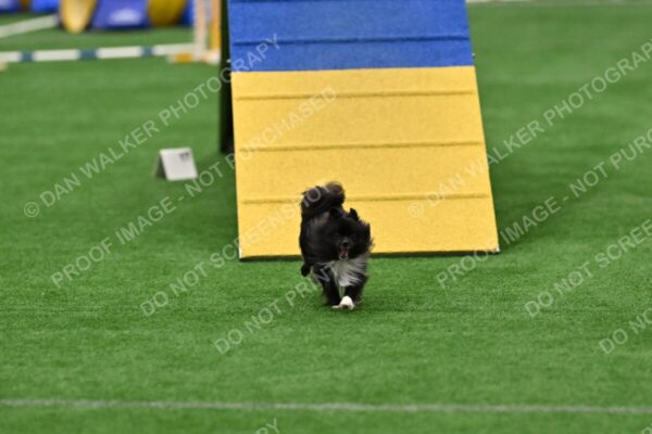 Chasidy-DelBalso-Kuro-09407