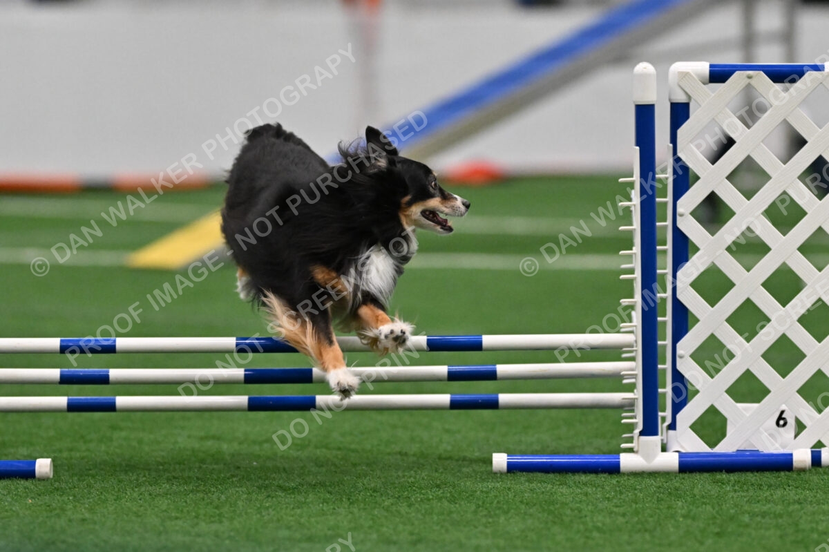 Cheryl-A-Minichiello-Slider-02403