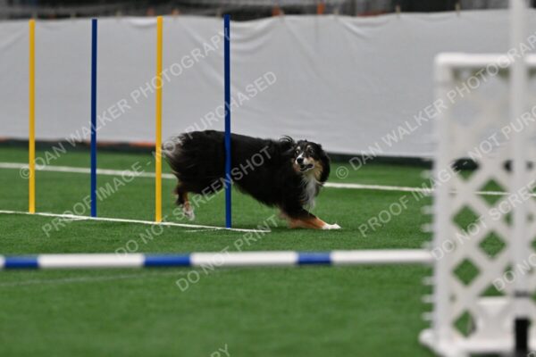 Cheryl-A-Minichiello-Slider-02421