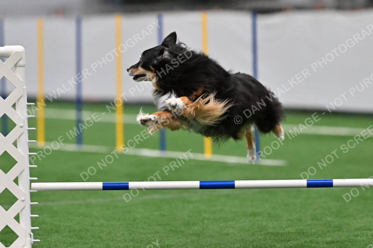 Cheryl-A-Minichiello-Slider-02427
