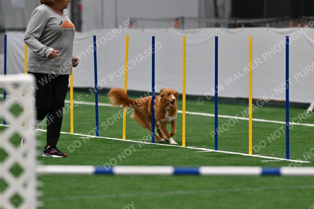 Cindy-Fink-Basil-02783