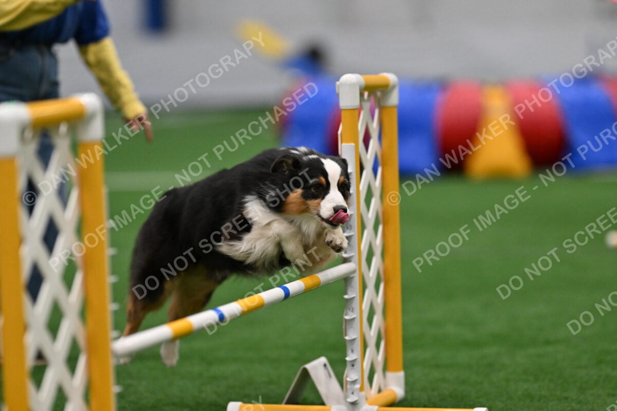 Claudia-Brydon-Amazing-Grace-02654