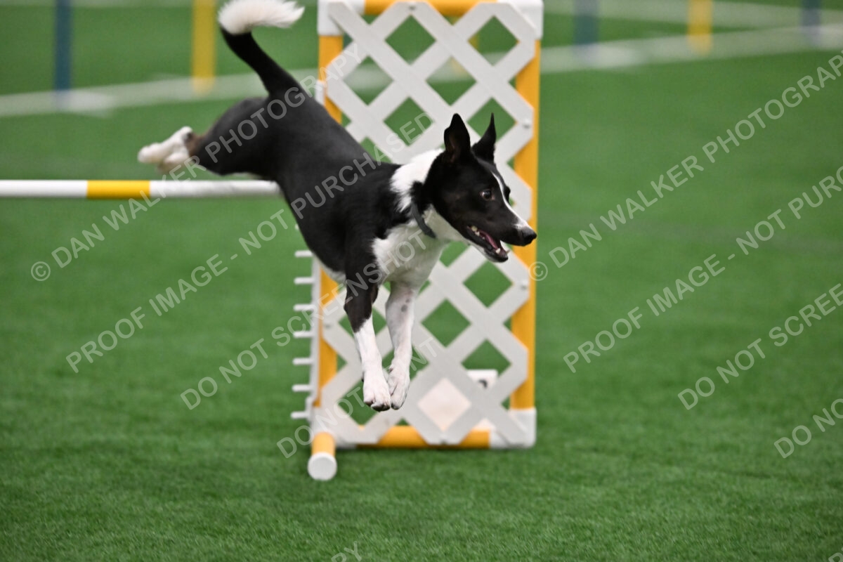 Claudia-Brydon-Amazing-Grace-06371