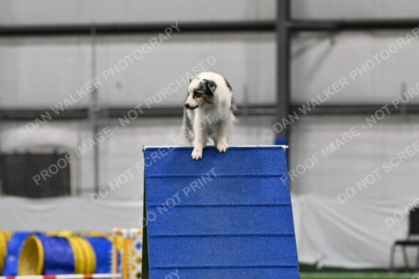 Claudia-Brydon-Sunny-06550