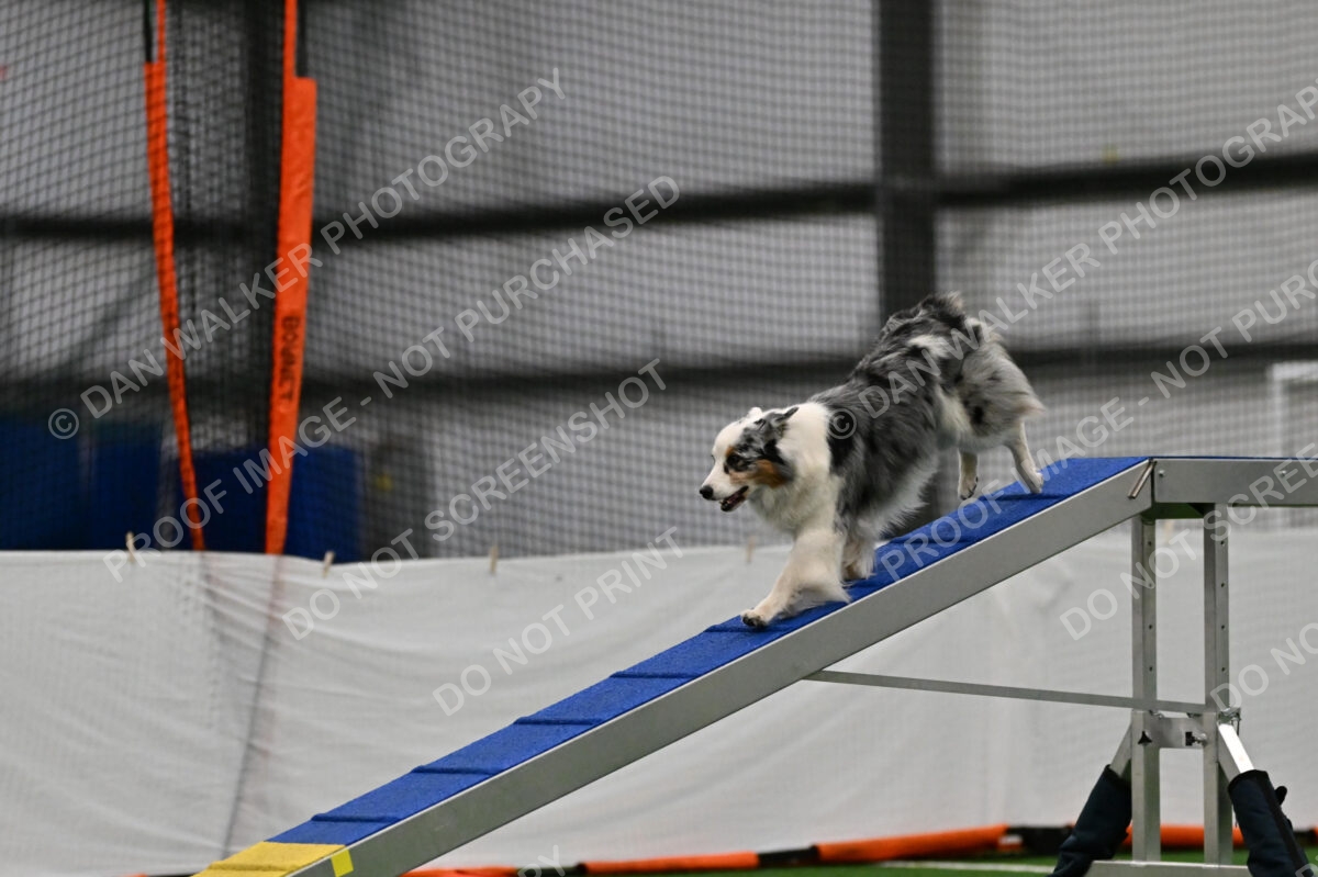 Claudia-Brydon-Sunny-12819