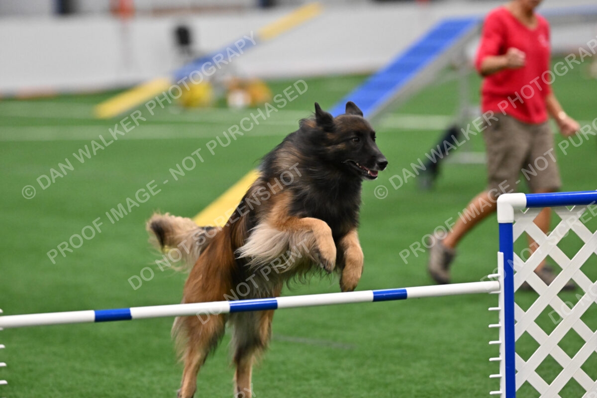 Cynthia-Laub-Deacon-07455