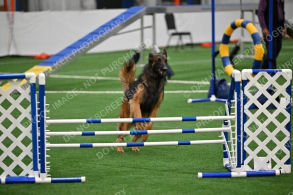 Cynthia-Laub-Simon-03268