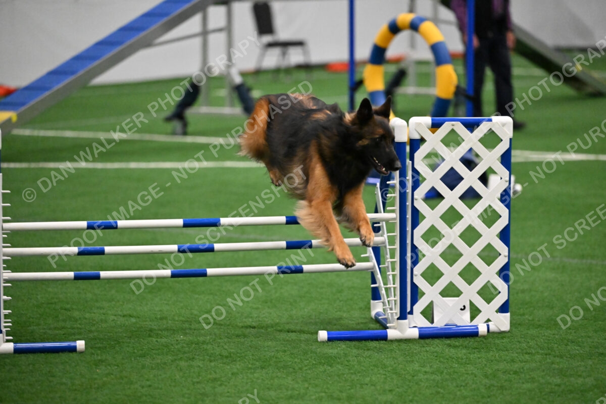 Cynthia-Laub-Simon-03272