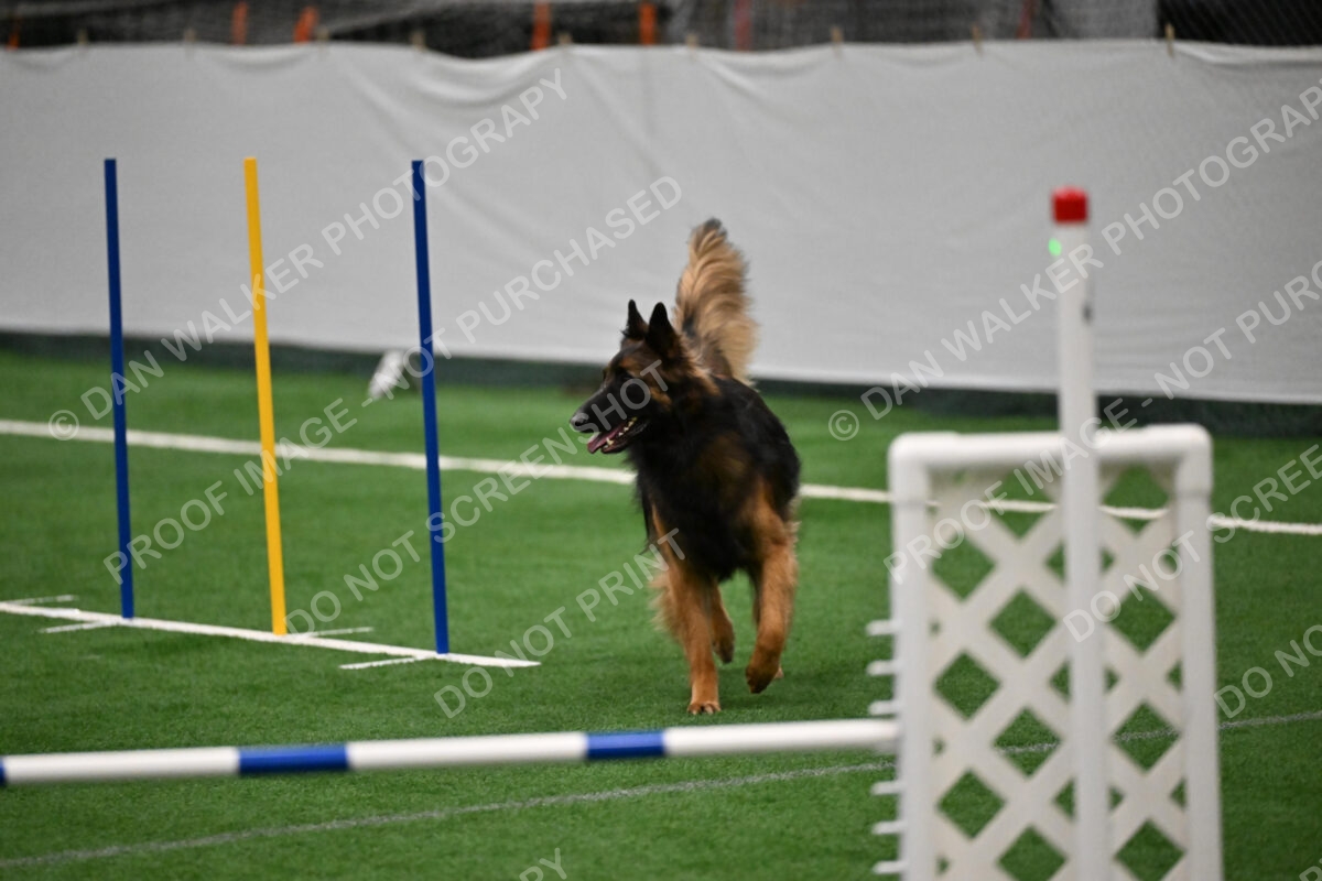Cynthia-Laub-Simon-03280