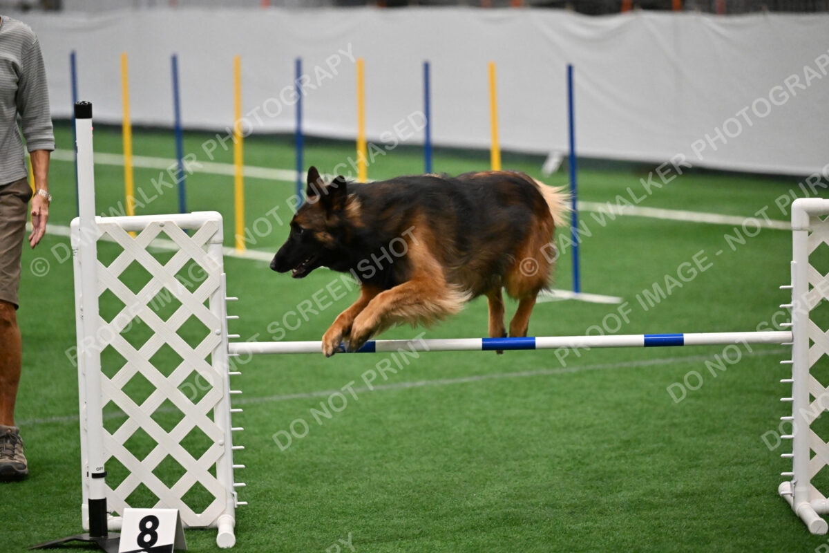 Cynthia-Laub-Simon-03285