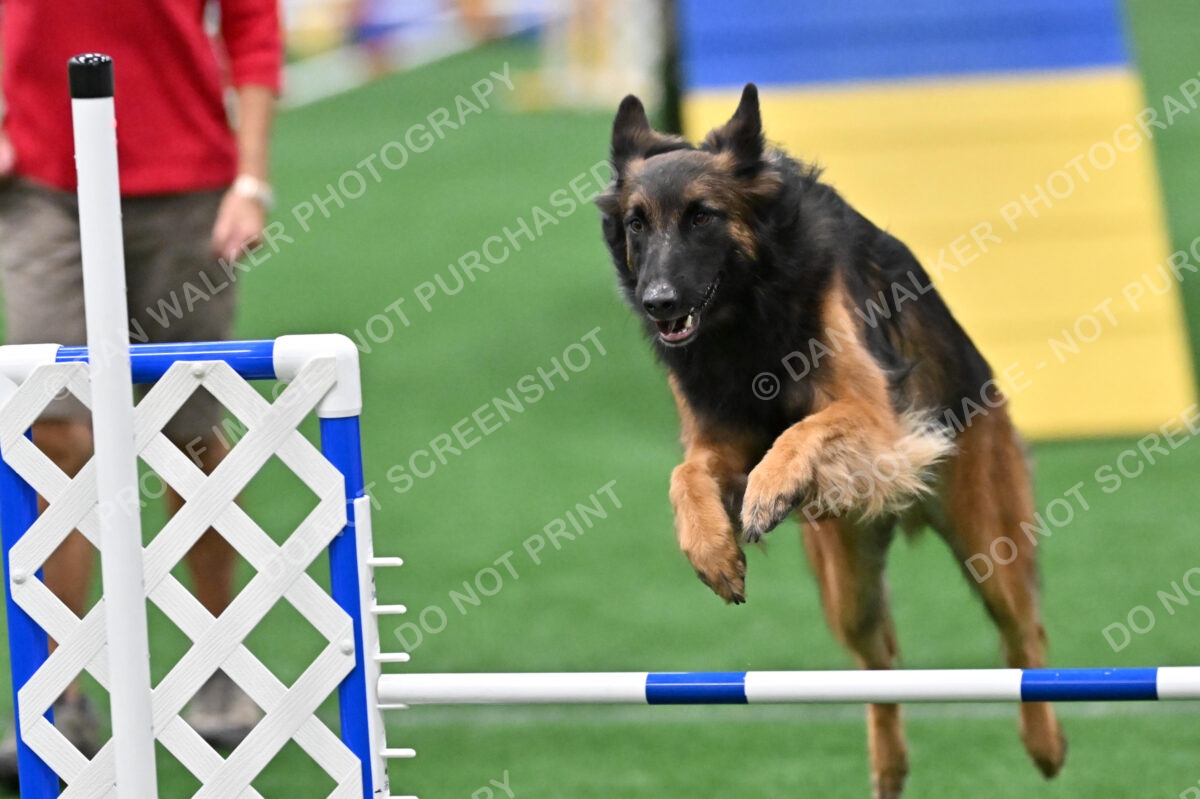 Cynthia-Laub-Simon-07088