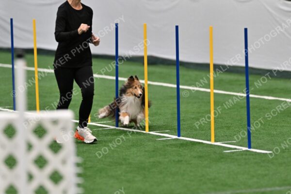Diane-Loeffert-Chia-02846