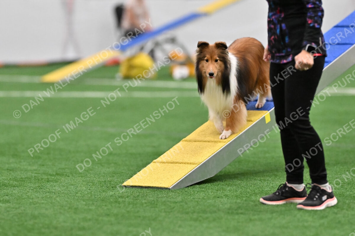 Diane-Loeffert-Phin-09819