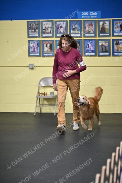 Connie-Rigotti-01632