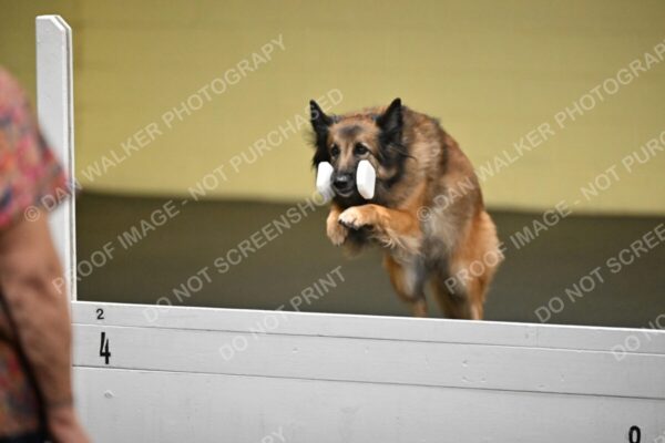Diane-Brzezinski-02076