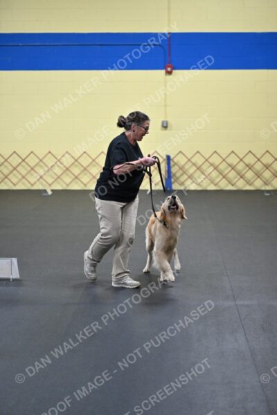 Dori-and-Steve-Likevich-04221