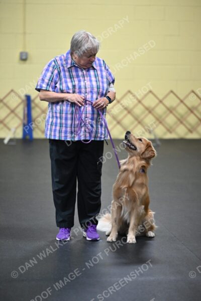 Judy-Askew-04344