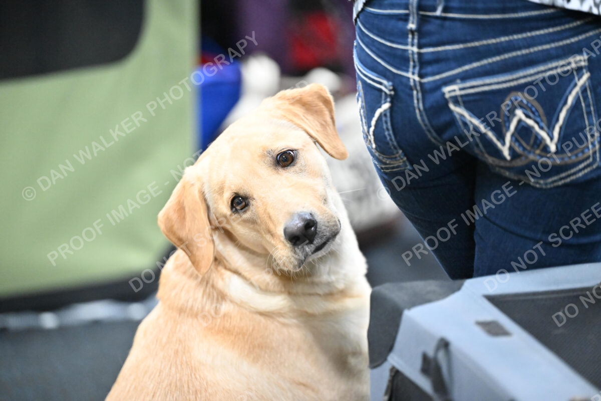 Kelly-Goad-03223