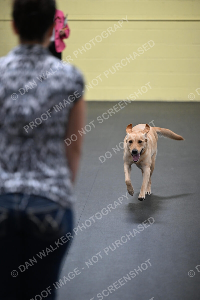 Kelly-Goad-05018