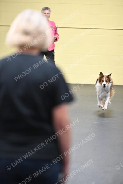 Linda-Freed-03188