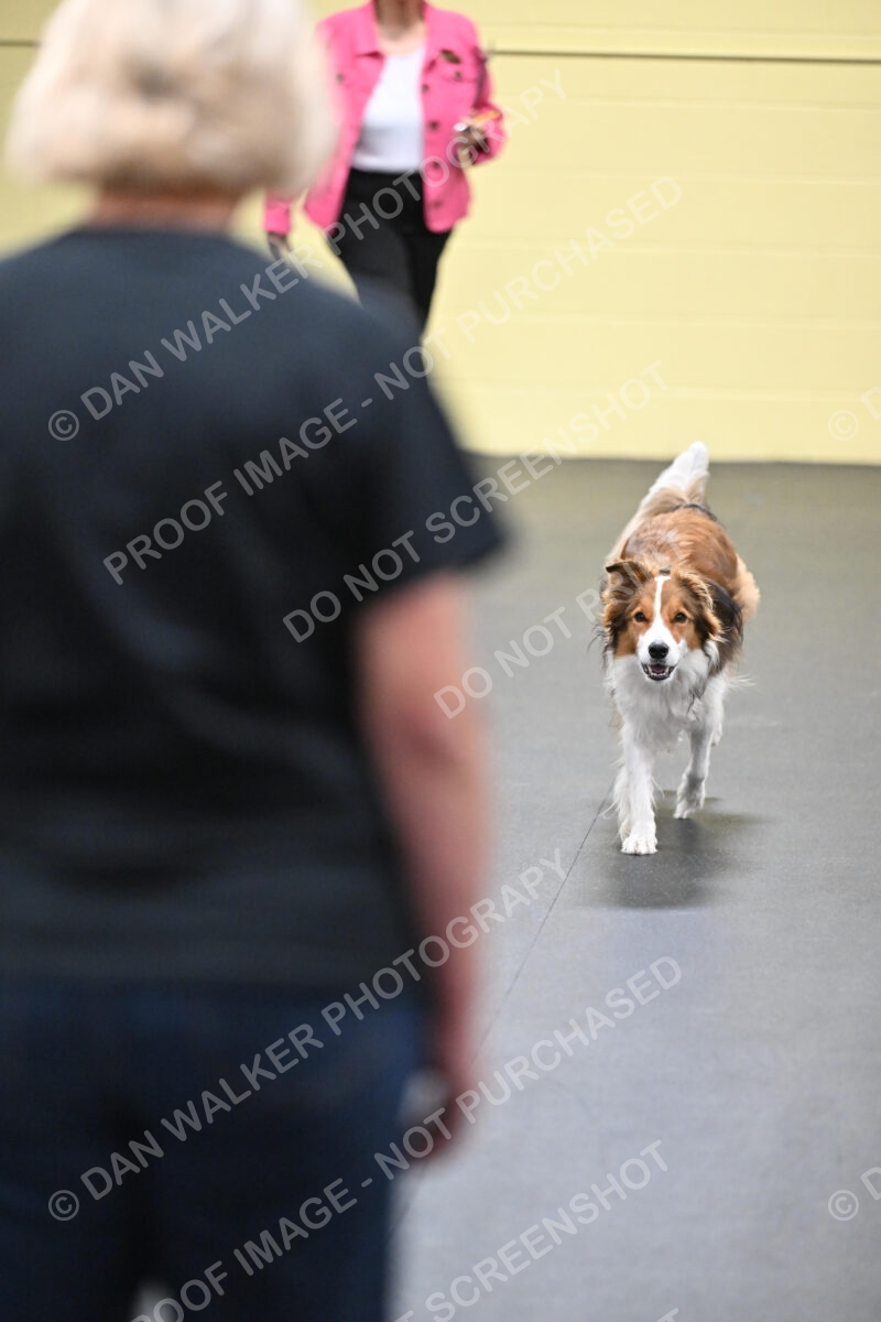 Linda-Freed-03194