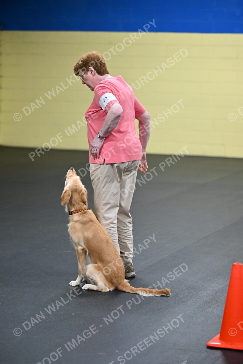 Linda-MacDonald-03089