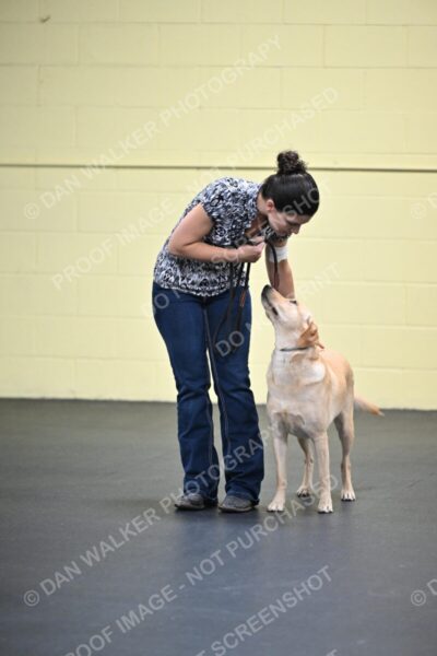 Linda-MacDonald-03839