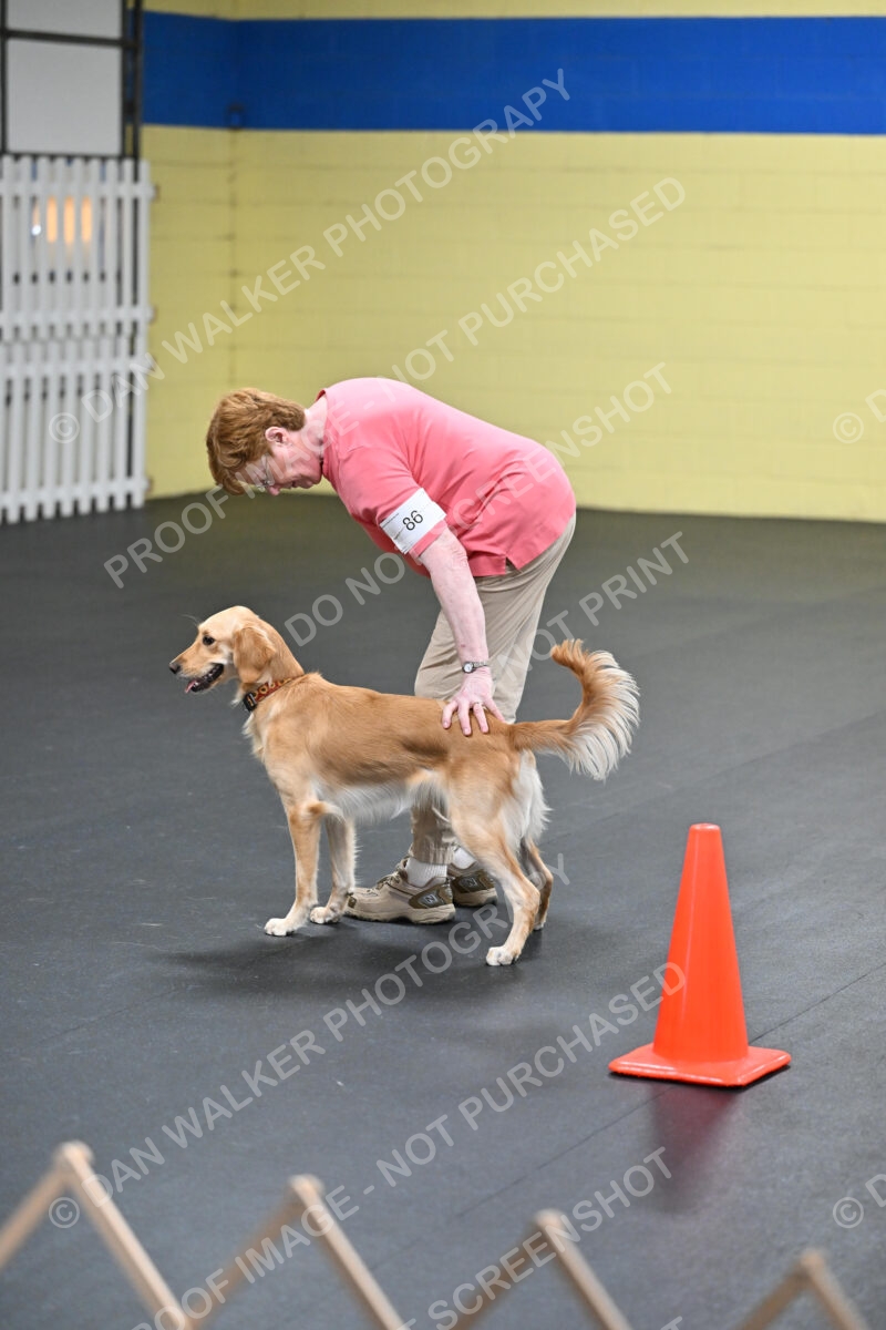 Linda-MacDonald-03949