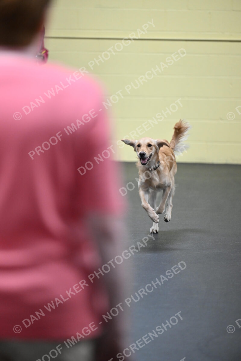 Linda-MacDonald-04027