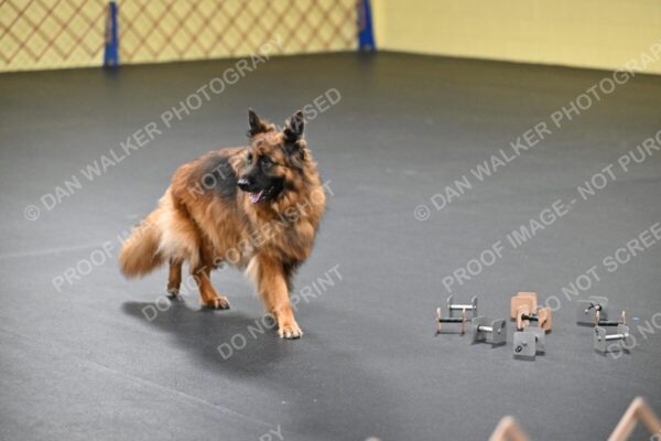 Marcie-Shanker-02723