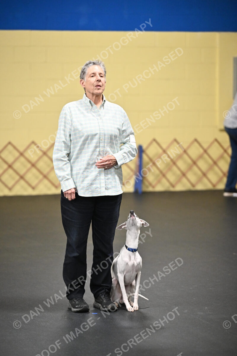 Mary-Flynn-00572