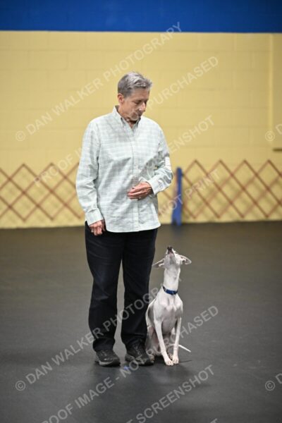 Mary-Flynn-00576