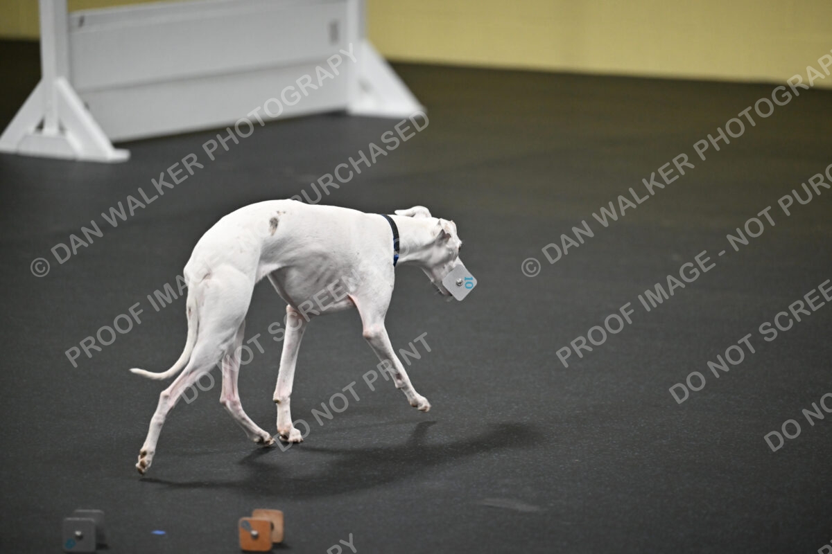 Mary-Flynn-00645