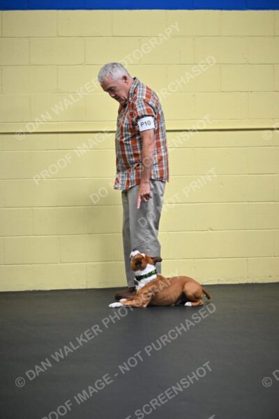 Michael-MacDonald-05171