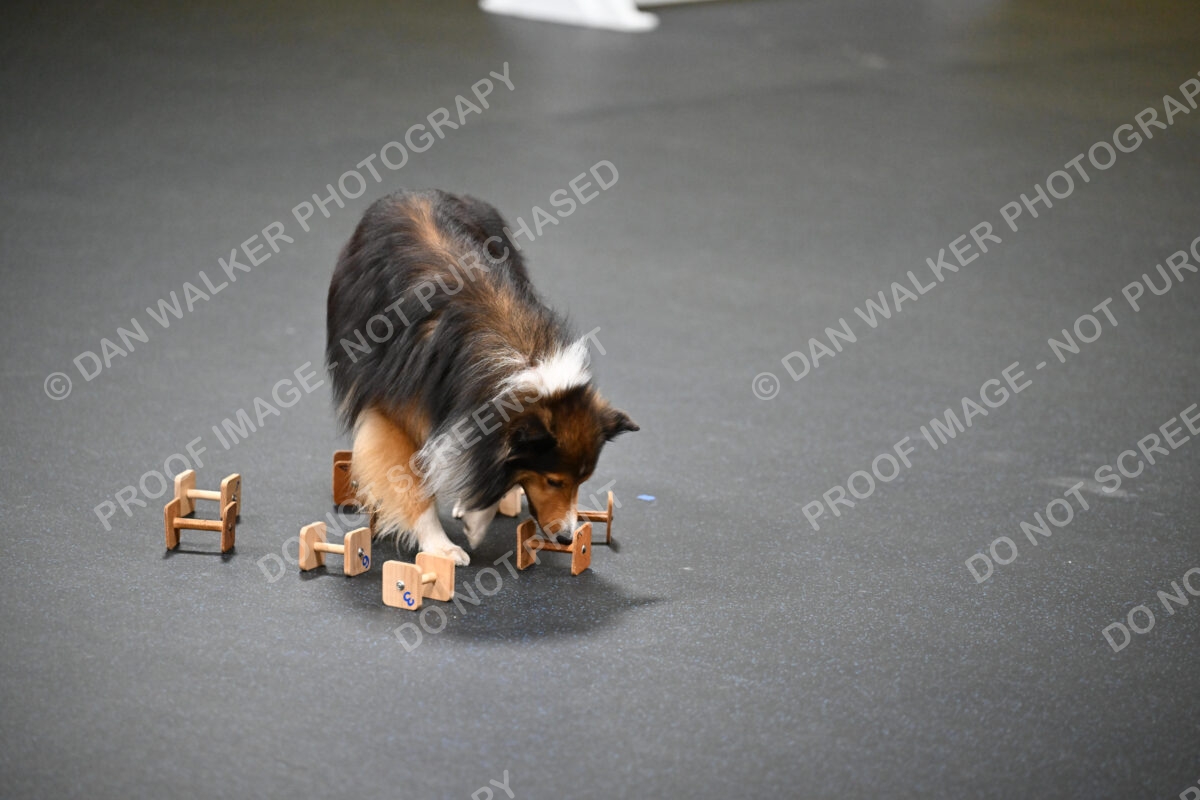 Sandra-Velleman-02300