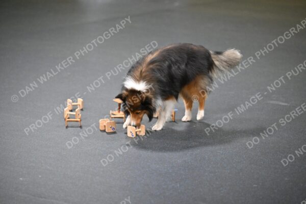 Sandra-Velleman-02365