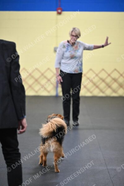 Susan-Lindsey-00703