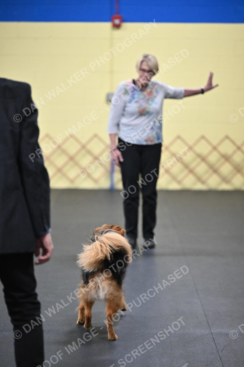 Susan-Lindsey-00703