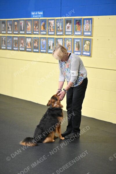 Susan-Lindsey-00749